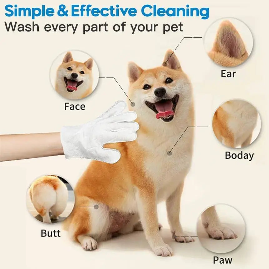 Pet Cleaning Gloves No-Rinse Wipes for Dogs & Cats Face Ears Paws Cleaning 6 Single-Use Gloves No Water Required Grooming Apple Oil Magic Cleaner