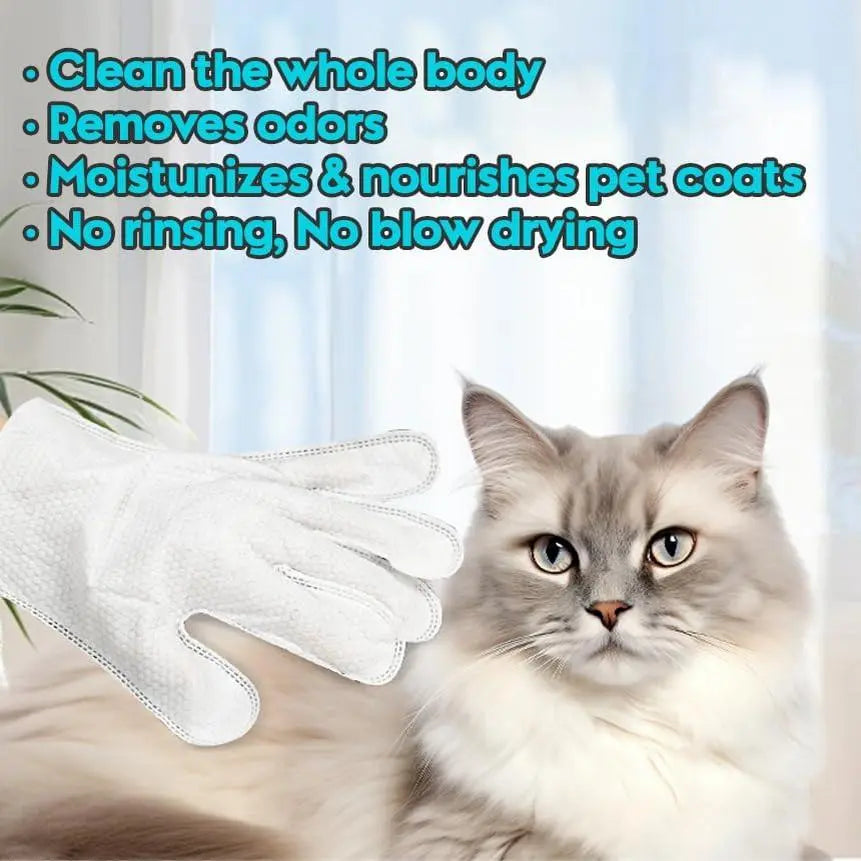 Pet Cleaning Gloves No-Rinse Wipes for Dogs & Cats Face Ears Paws Cleaning 6 Single-Use Gloves No Water Required Grooming Apple Oil Magic Cleaner